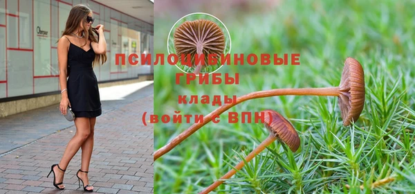 герыч Снежногорск