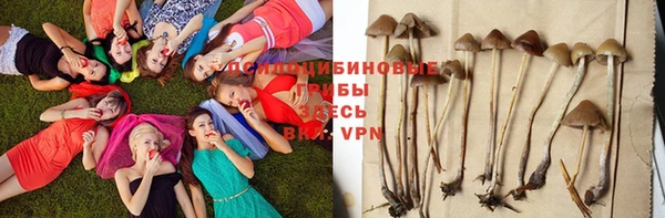 mix Аркадак