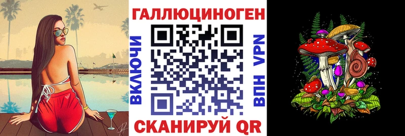 где найти Ахтубинск Псилоцибиновые грибы Psilocybe