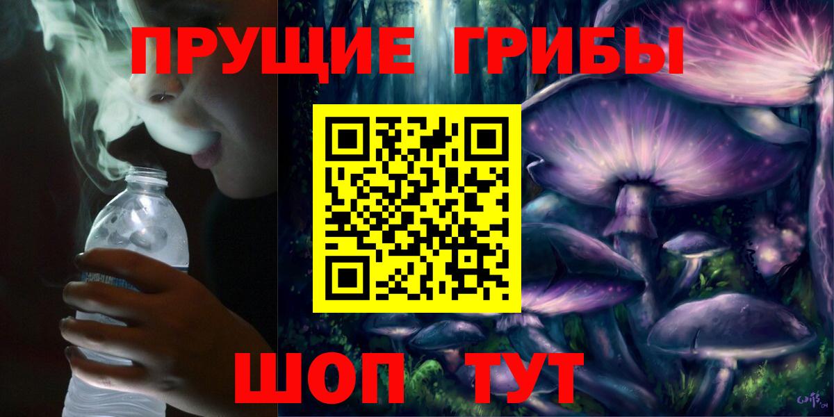 Псилоцибиновые грибы Psilocybine cubensis Ахтубинск